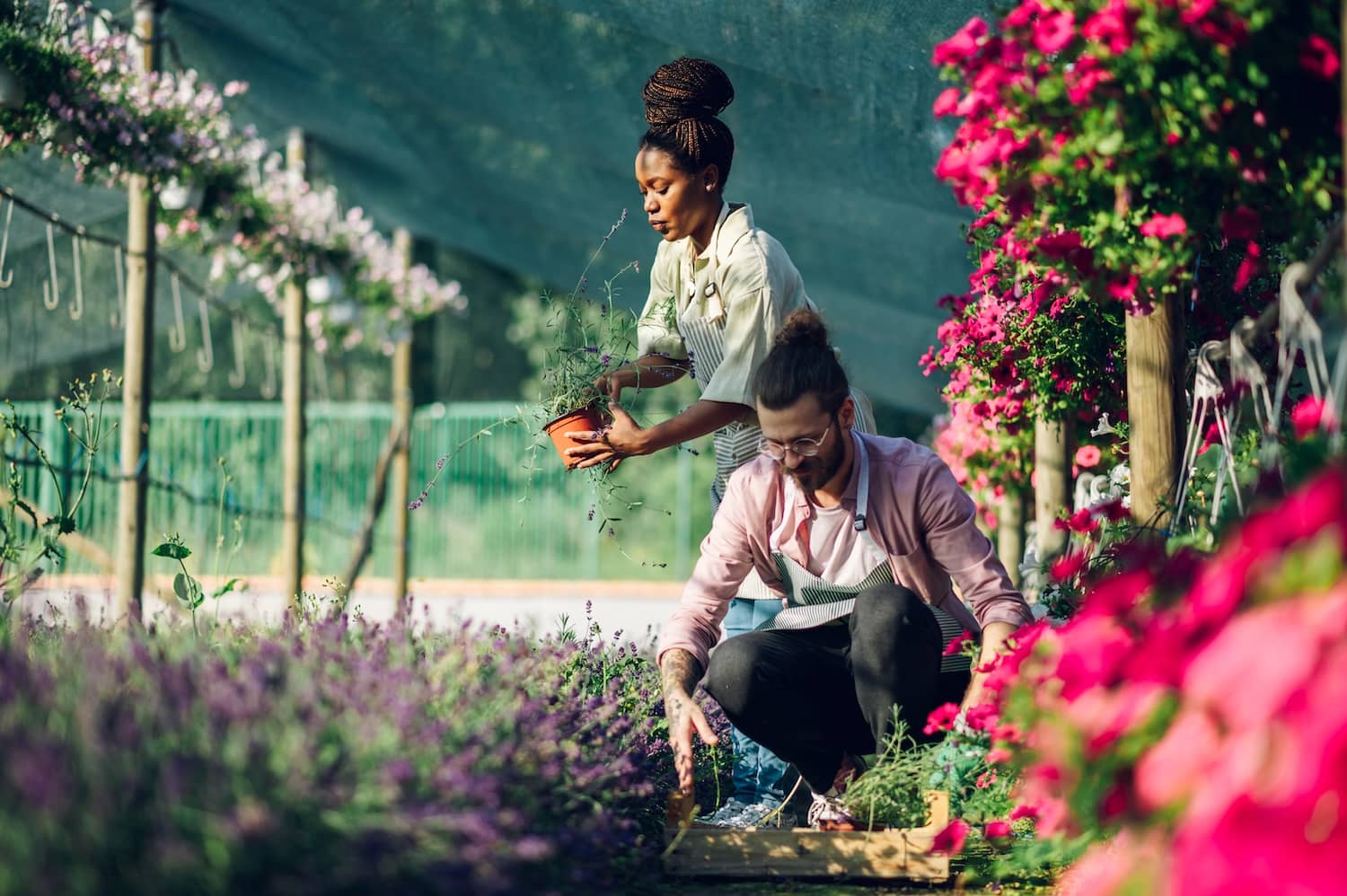gardening