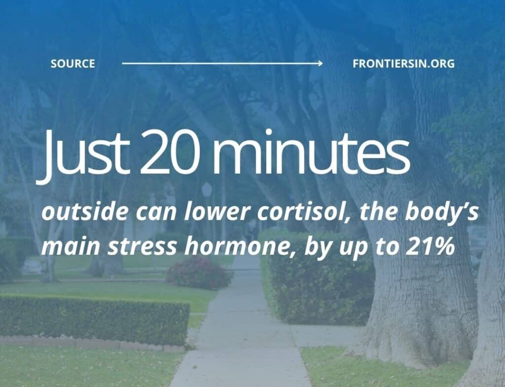 nature breaks boost wellness