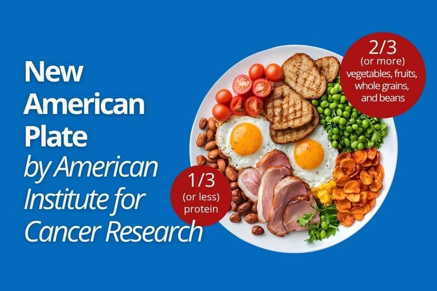 The New American Plate by American Institute for Cancer Research, that can be a recommended snacks or diet for fitness success.