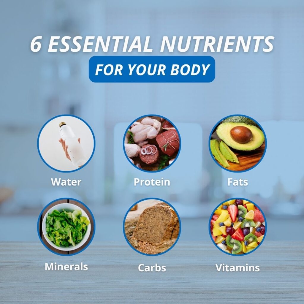 Infographic titled "6 Essential Nutrients For Your Body" with six labeled circular icons displaying water, protein, fats, minerals, carbs, and vitamins.
